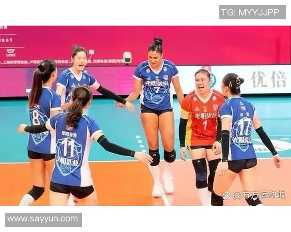 上海排球队战术解析与聚焦排球的未来发展探讨